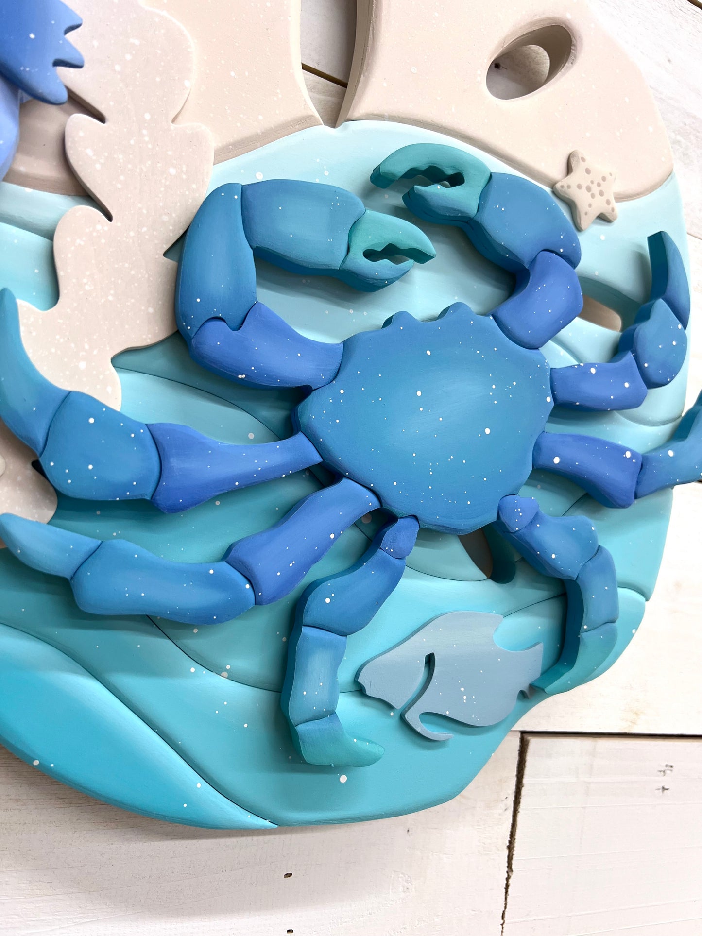 Sand Dollar Blue Crab Wall Hanger